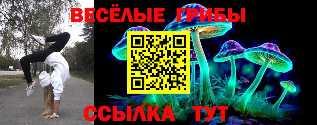 Галлюциногенные грибы мухоморы  хочу наркоту  Вход с VPN  Абинск  Псилоцибиновые грибы Magic Shrooms 