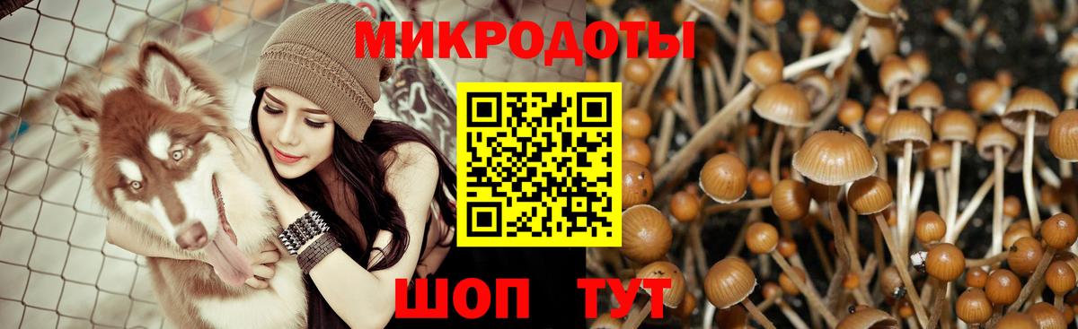 Псилоцибиновые грибы MAGIC MUSHROOMS Абинск